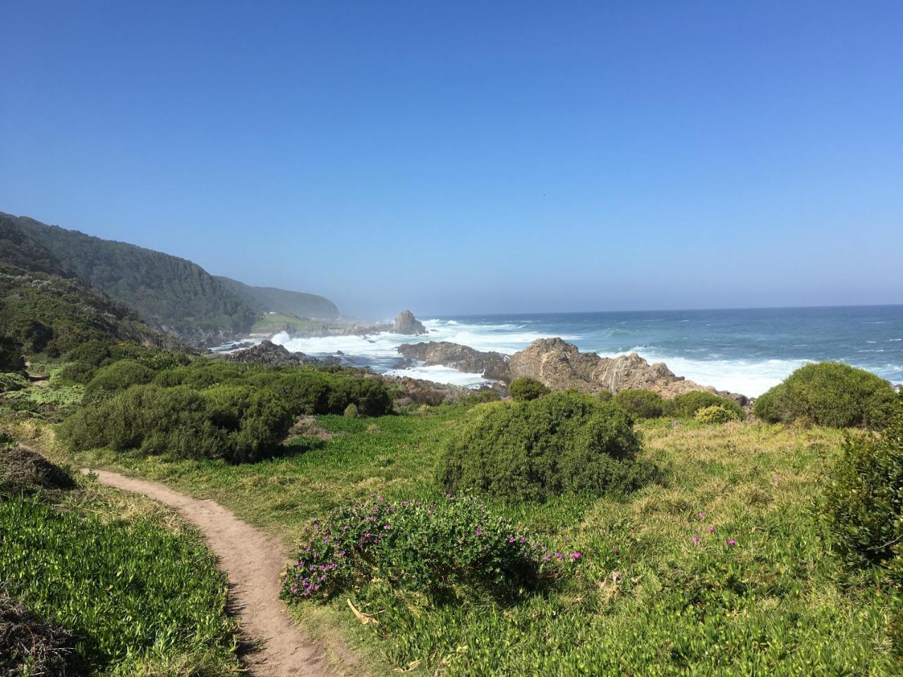 Storms River Guest