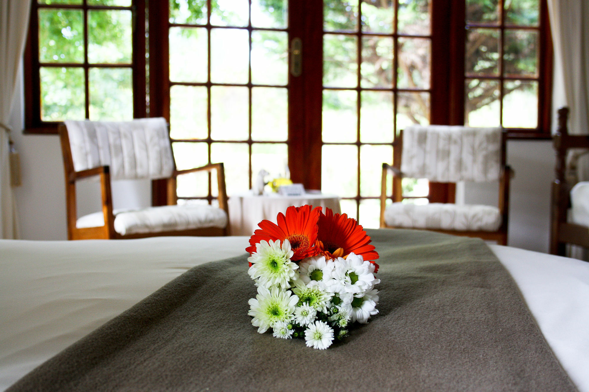 Lodge Storms River Guest Stormsrivier